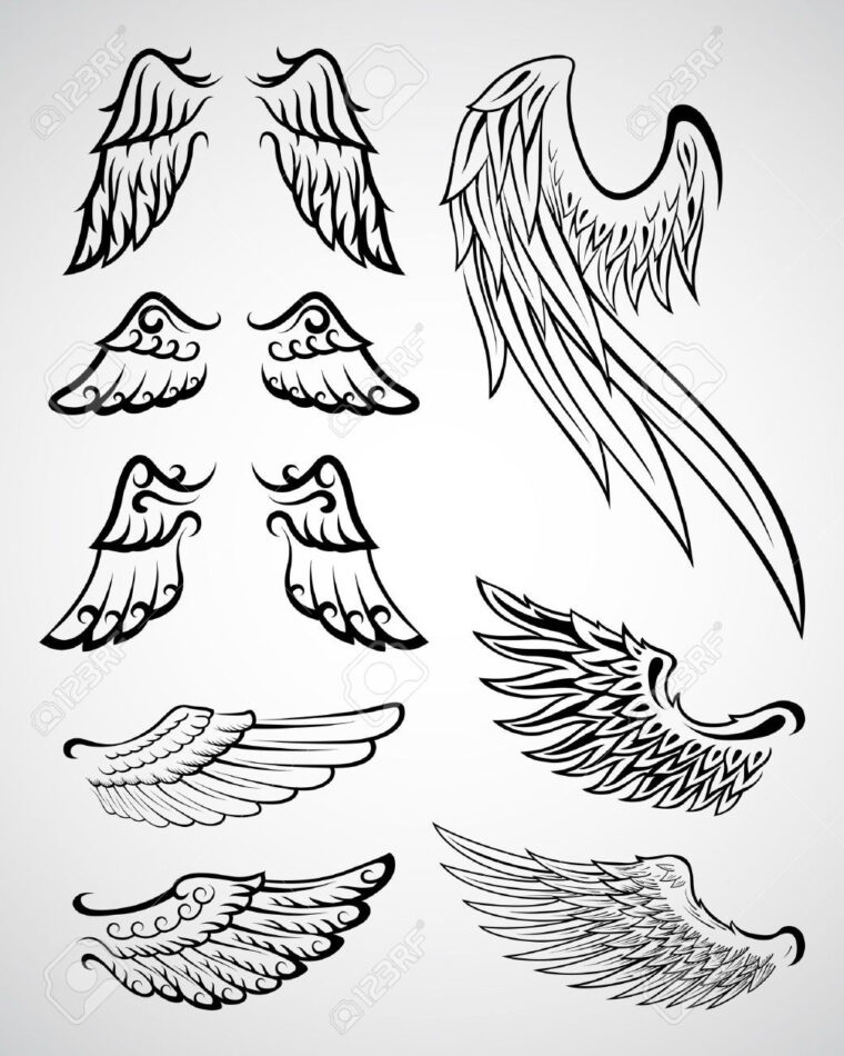 Collection Des Ailes  Uage Ailes, Ailes Uage, Aile D Ange Uage dedans Ailes D Ange génial