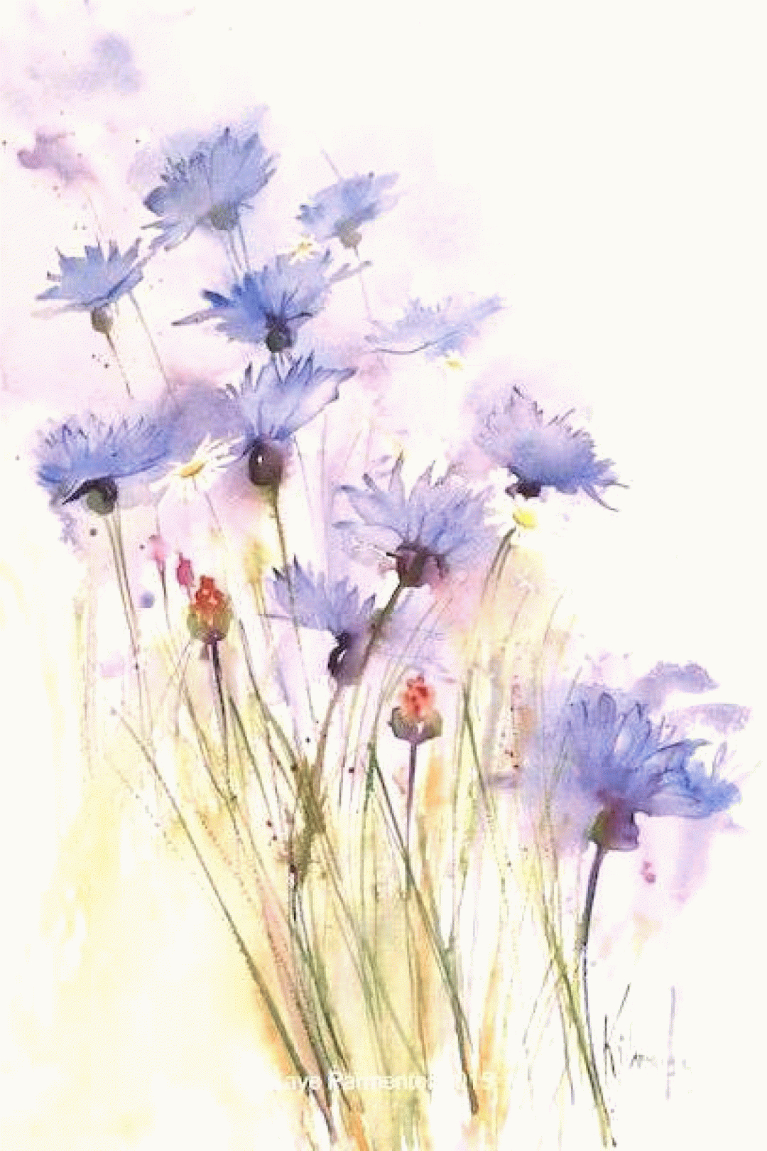 Cornflowers And Daisies In 2020  Watercolor Flowers Paintings, Loose pour Fleur Aquarelle Simple intéressant 