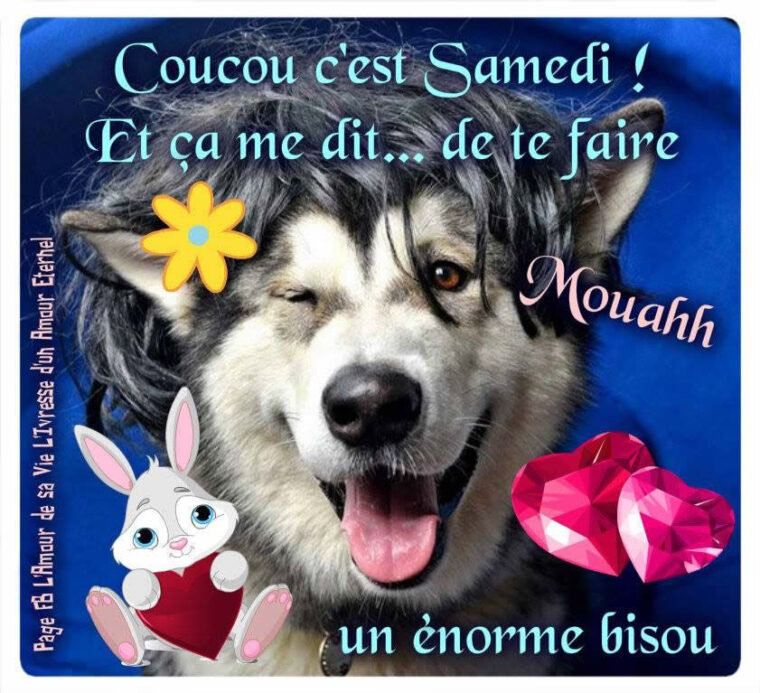 Coucou C'Est Samedi !  Samedi, Humour Du Matin, Bonjour Drôle avec Coucou Bon Vendredi Bisous