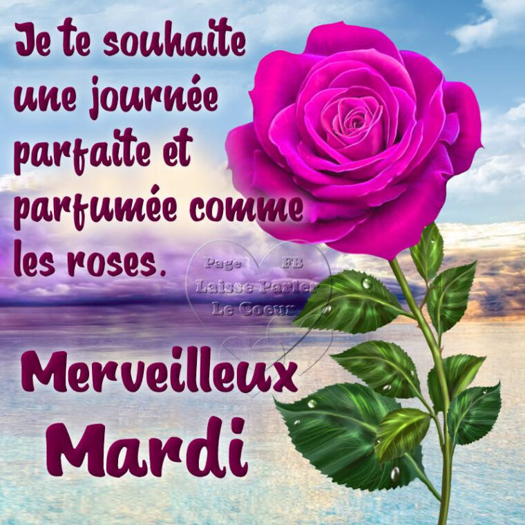 ᐅ 151 Mardi Images, Photos Et Illustrations Pour Facebook – Bonnesimages pour Bon Mardi Bisous génial