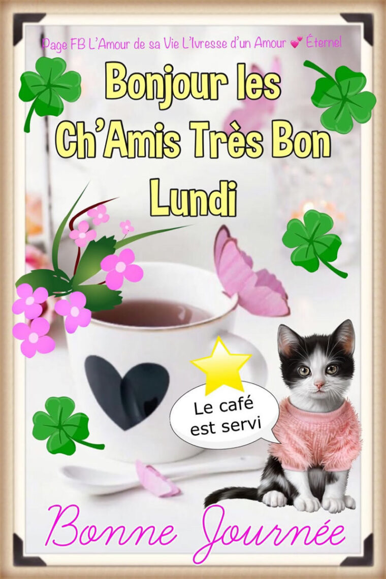 ᐅ 158 Lundi Images, Photos Et Illustrations Pour Whatsapp – Bonnes Images encequiconcerne Bonjour Lundi Humour génial