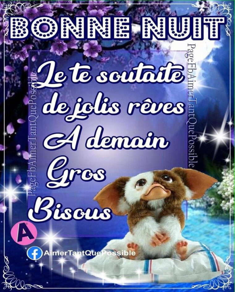 Épinglé Par Yolyrene Sur Gifs Divers  Bonne Nuit Bisous, Bonne Nuit destiné Bonne Soirée Bonne Nuit Bisous