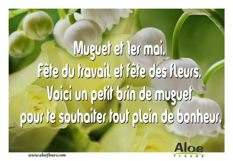 Épinglé Sur Messages Et Citations Du 1Er Mai – Le Muguet avec Drôle 1Er Mai Humour