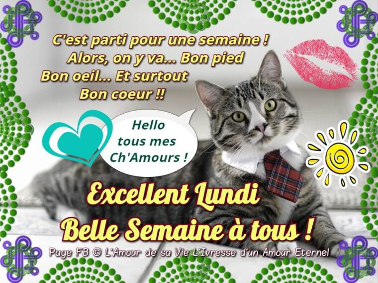 Excellent Lundi, Belle Semaine À Tous ! #Lundi Chat Cravate Drole pour Bon Lundi Humour Bisous vous pouvez essayer