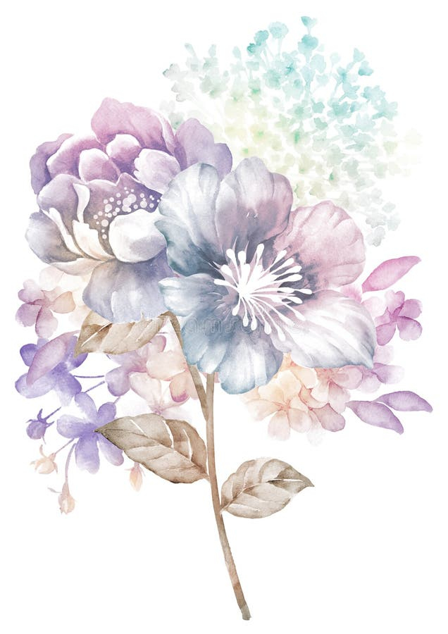 Fleur D'Illustration D'Aquarelle À L'Arrière-Plan Simple Illustration encequiconcerne Fleur Aquarelle Simple