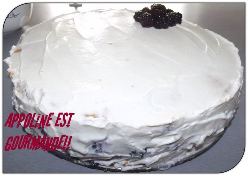 Gâteau À La Crème De Mascarpone - Appoline Est Gourmande!! tout Que Faire Avec 250 G De Mascarpone intéressant