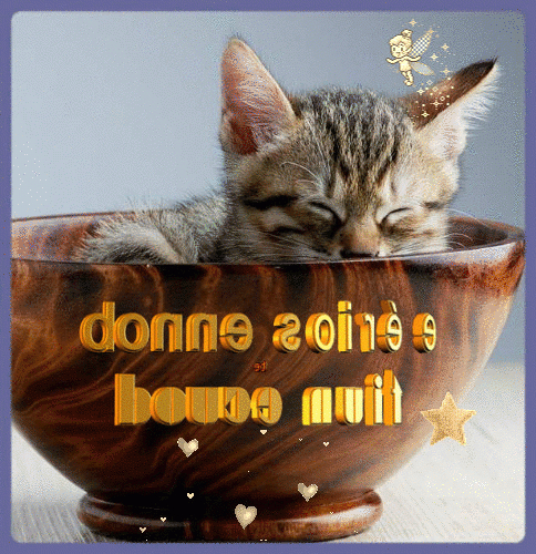 Gifs - Images Bonne Nuit Chats  Morning Greeting, Good Night, Cat S pour Gif Bonne Nuit Amour fascinant 