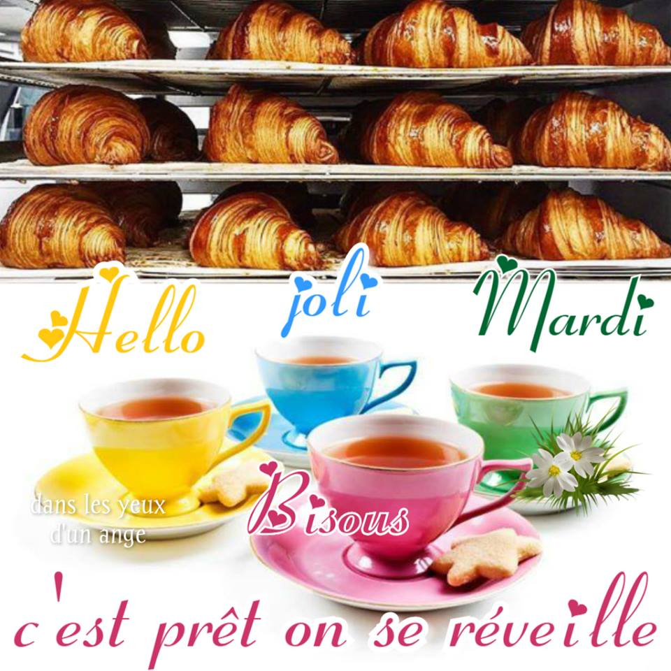 Hello Joli Mardi - C&amp;#039;Est Prêt On Se Réveille - Photos Humour tout Bonjour Mardi Humour 