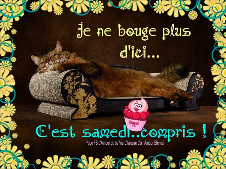 [Imprimable] Bon Samedi Chat Image 121668-Images Bon Samedi Bisous Chat serapportantà Images Bon Samedi