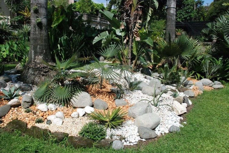 Jardin De Rocaille Et Déco En Pierre Naturelle En 40 Idées D à Creation De Jardin Avec Palmier vous pouvez essayer