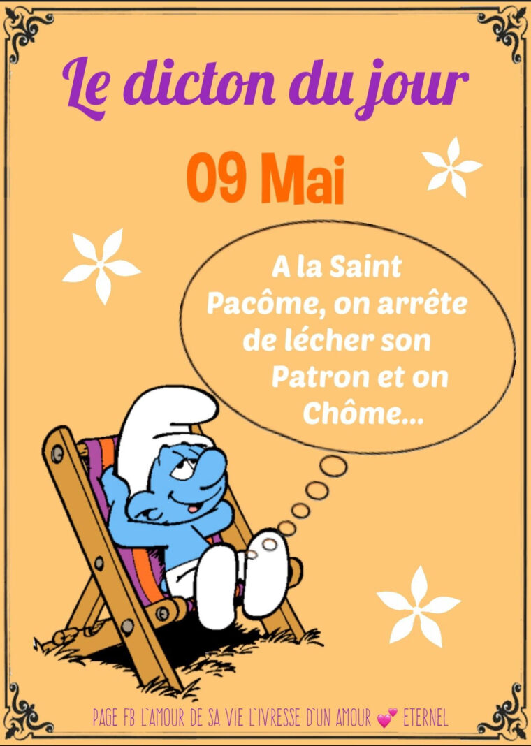 Le Dicton Du Jour 09 Mai  Blagues Très Drôles, Dictons Du Jour, Humour à Drôle 1Er Mai Humour vous pouvez essayer