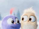 Lots Of Emotion - But Mostly Anger - On The Official Angry Birds Giphy avec Gif Amour Mignon tutoriel