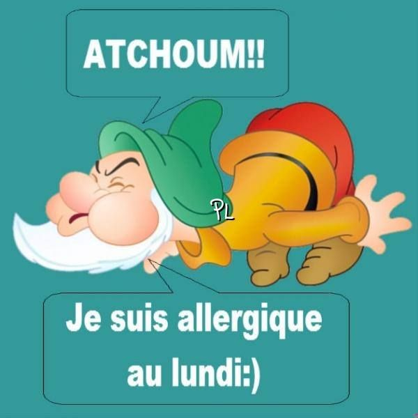 Lundi Image #5854 - Atchoum!! Je Suis Allergique Au Lundi :) Tags avec Bon Lundi Humour intéressant 