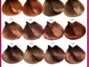 Majirel Hair Color Chart, Instructions, Ingredients  Hair Color Chart serapportantà Nuancier Roux Cuivré Intense tutoriel