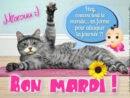 Miaouu :) Bon Mardi ! Hey, Coucou Tout Le Monde En Forme Pour dedans Bon Mardi Et Bonne Journée fascinant