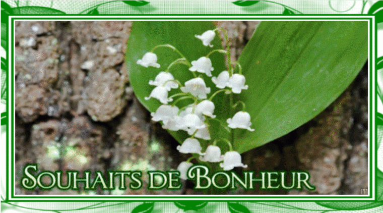 Muguet En Gifs Animés-Carte Voeux Animée avec Muguet Images Gratuites Gif