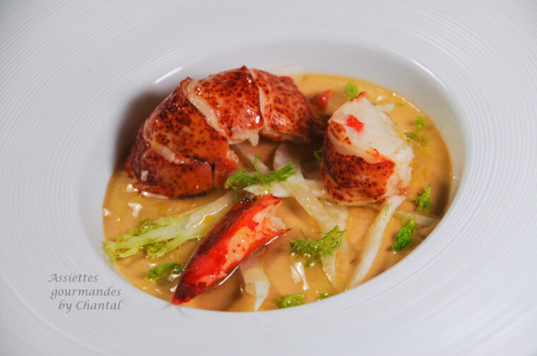 Panna Cotta De Bisque, Homard Et Vinaigrette De Fenouil – Assiettes à Entrée Chaude Gastronomique fascinant