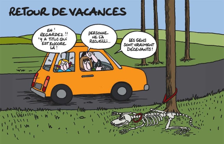 Retour De Vacances Caricatures, Travel Savings, Lol, Our Life, Peanuts avec Enfin Les Vacances Humour