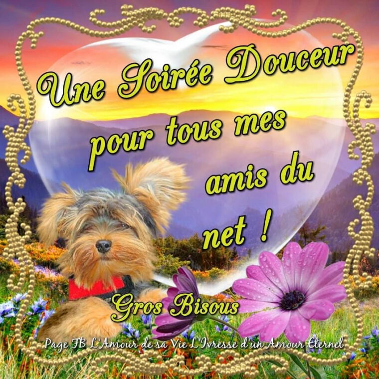 Une Soirée Douceur Pour Tous Mes Amis Du Net ! Gros Bisous #Bonnesoiree concernant Image Bonne Soirée Bisous