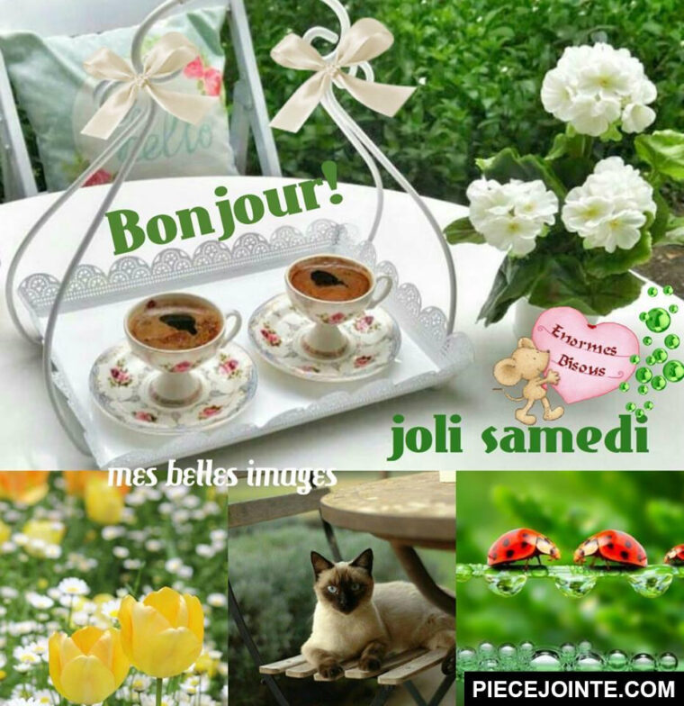 Week End Bonjour Samedi Humour  Blageusdown destiné Humoristique Bon Samedi génial