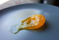 soy cured egg yolk