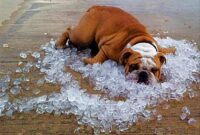 hot weather images stay-cool hot weather images stay-cool