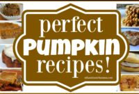 pumpkin recipes nz pumpkin recipes nz