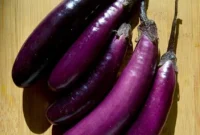 aubergine slim jim aubergine slim jim