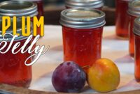 wild plum jelly recipe wild plum jelly recipe