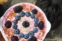 diabetes type 1 recipes diabetes type 1 recipes