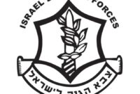 idf staff badge idf staff badge