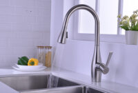stainless steel kitchen pull out faucet