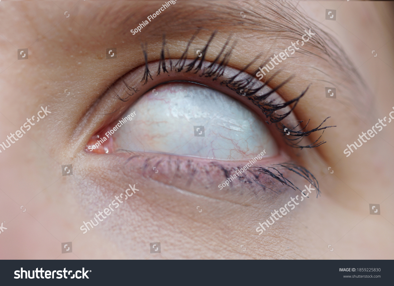 24,480 Female Scary Eyes Images, Stock Photos & Vectors | Shutterstock