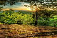 dual monitor wallpaper 4k