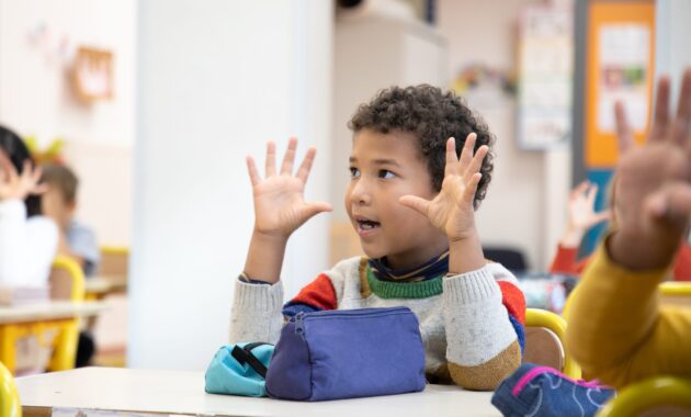 la classe de corine cp