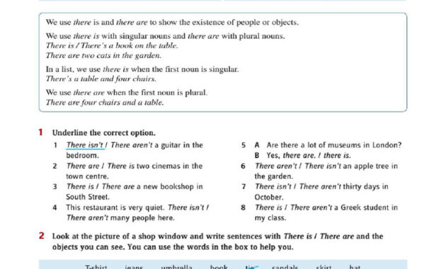 exercices there is there are 6ème à imprimer