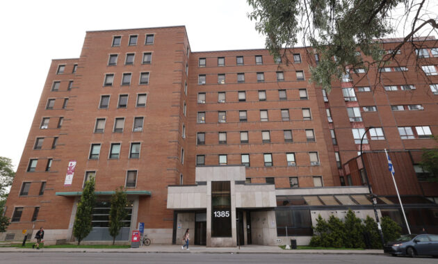 chair de la franceline mangeable