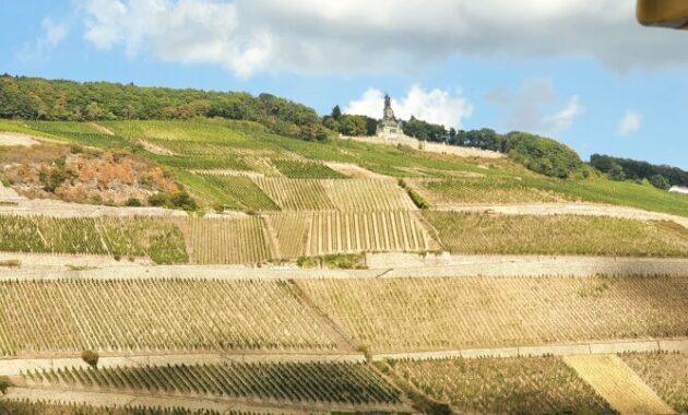 lyriks zu ich hab den vater rhein in seinem bett gesehen mit