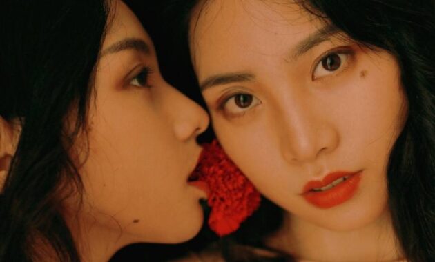 les 13 nouvelles régions françaises