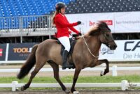 islandpferde turniere 2025 islandpferde turniere 2025