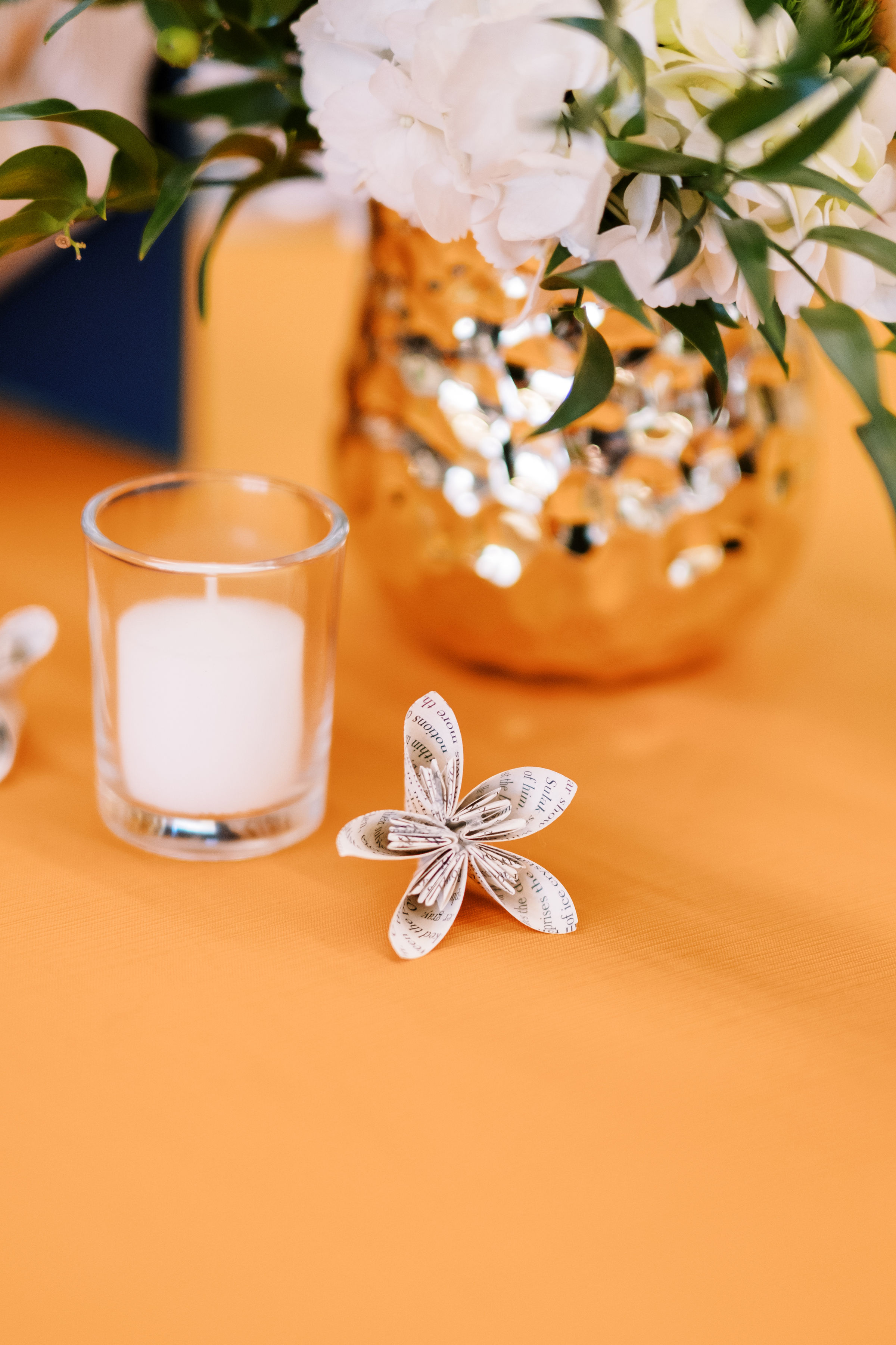  Auburn University Illustration 