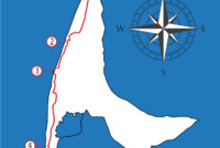 syltlauf 2025 ergebnisse