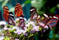 costa rica rundreise und baden 2025