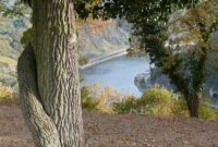 veranstaltungen loreley 2025 veranstaltungen loreley 2025