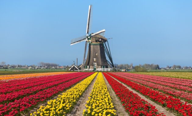 holland america voyage of the vikings 2026