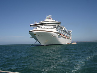  ·Golden Princess Con… 