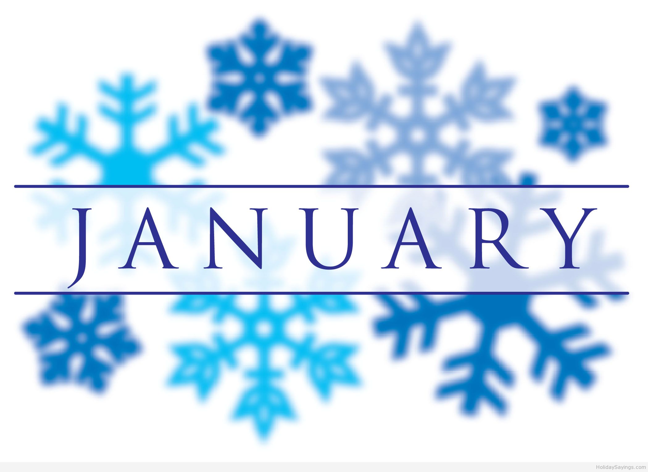  January 