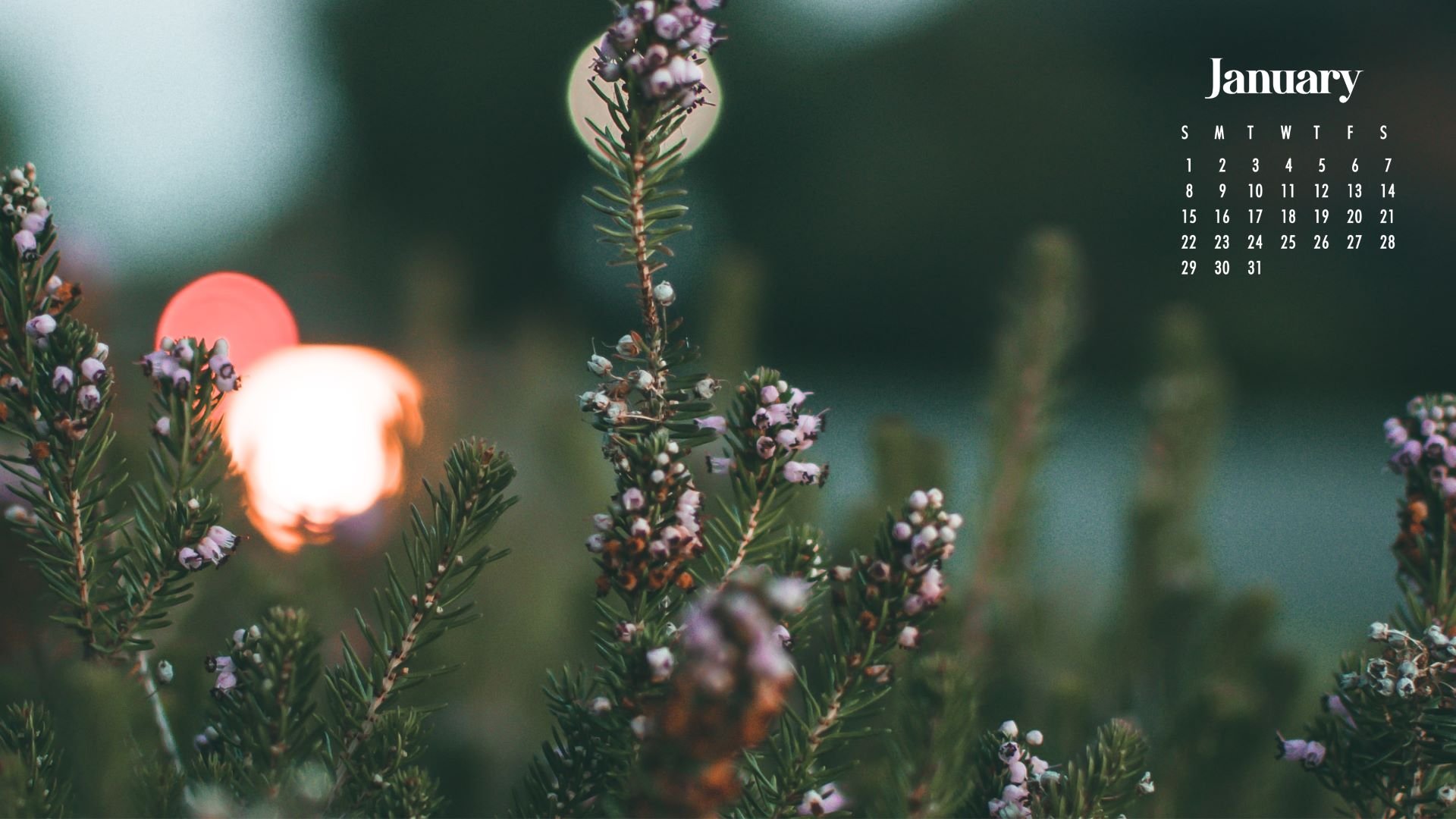  2023 PC Wallpapers - Wallpaper Cave 