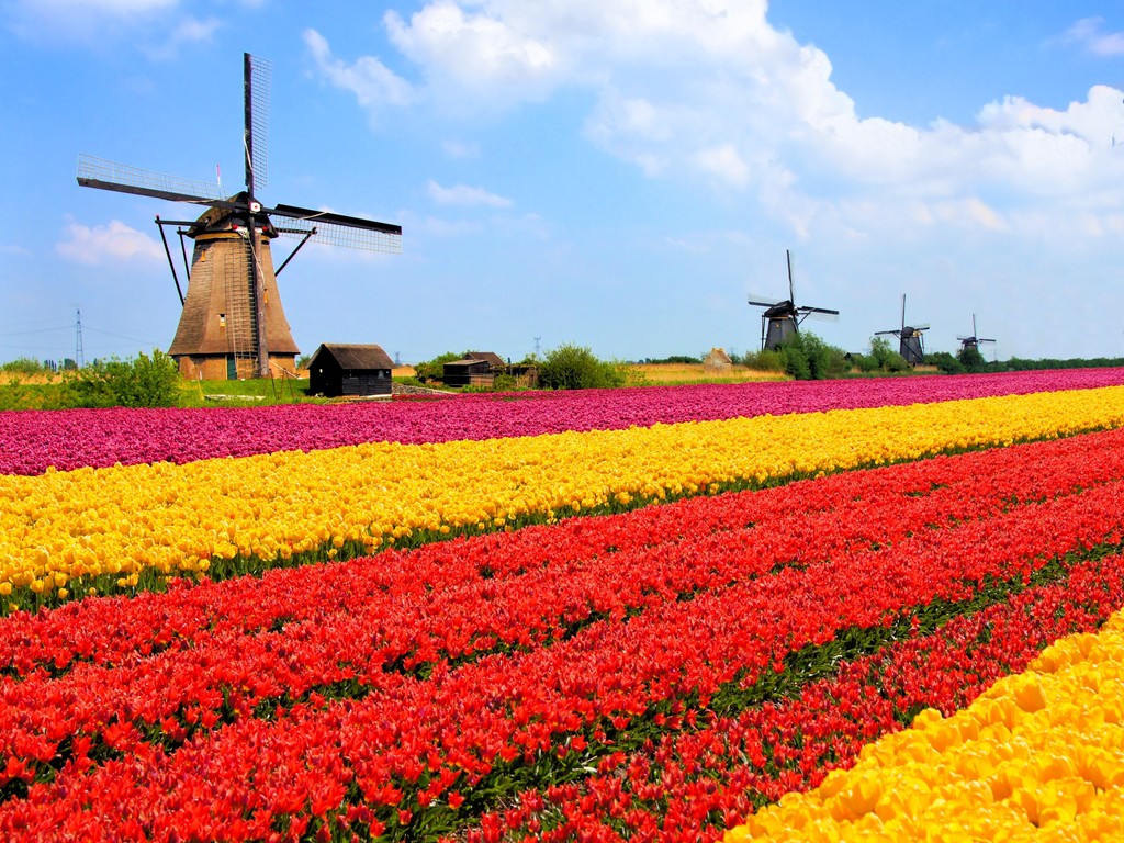  Holland, Luxembourg and Belgium by Globus Tours 