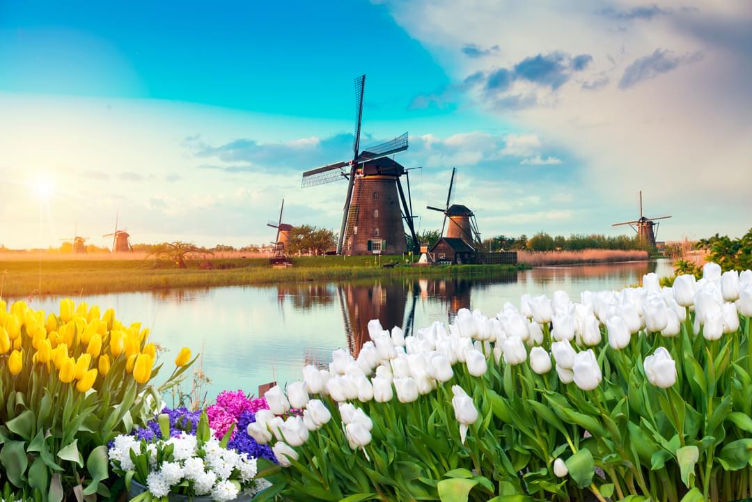  Discovering Dutch Culture, Heritage, and Charm Illustration 